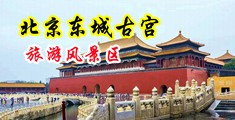 粉逼导航中国北京-东城古宫旅游风景区